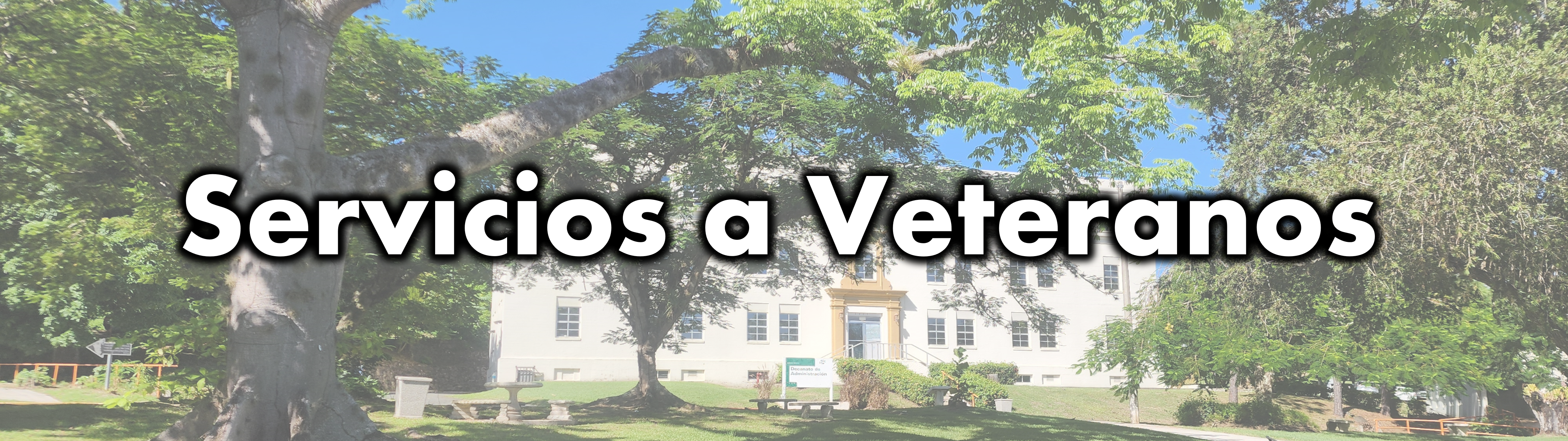 Banner área de Veteranos